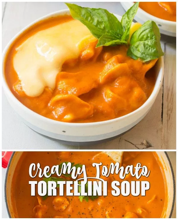 Chicken Tortellini Soup Recipe (Video) – A Spicy Perspective